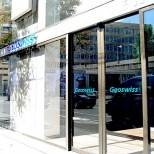 GEOSWISS ჯეოსვის