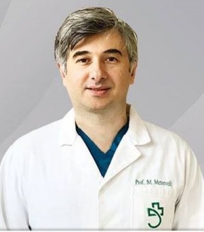 მიხეილ მეტრეველი